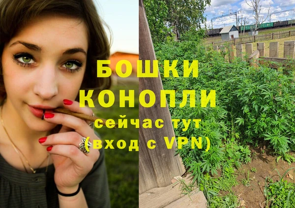 стафф Елабуга