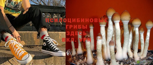 mix Ельня