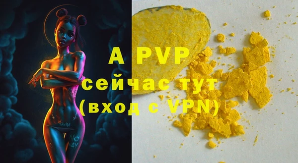 стафф Елабуга
