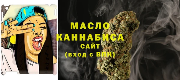 mix Ельня