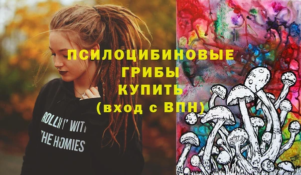 стафф Елабуга